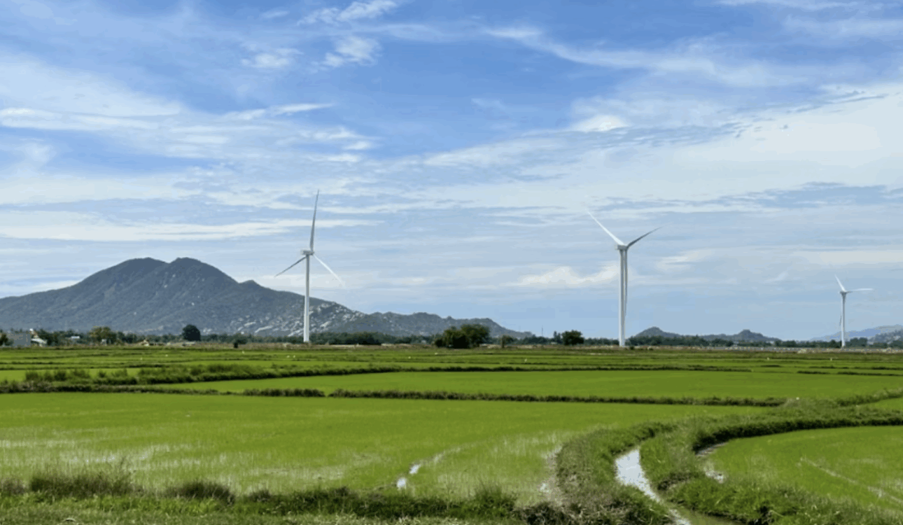 企業購電前必看，2025綠電價格制度一次整理