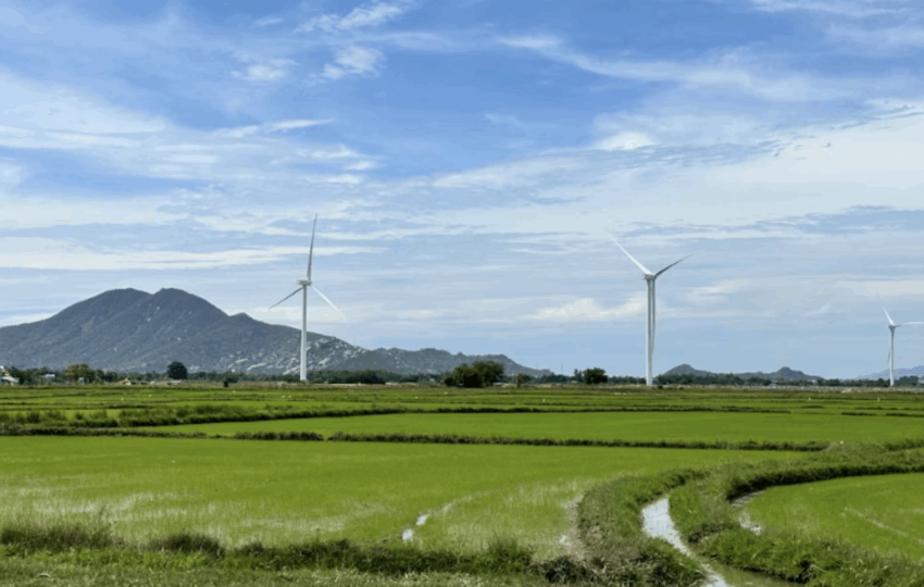 企業購電前必看，2025綠電價格制度一次整理