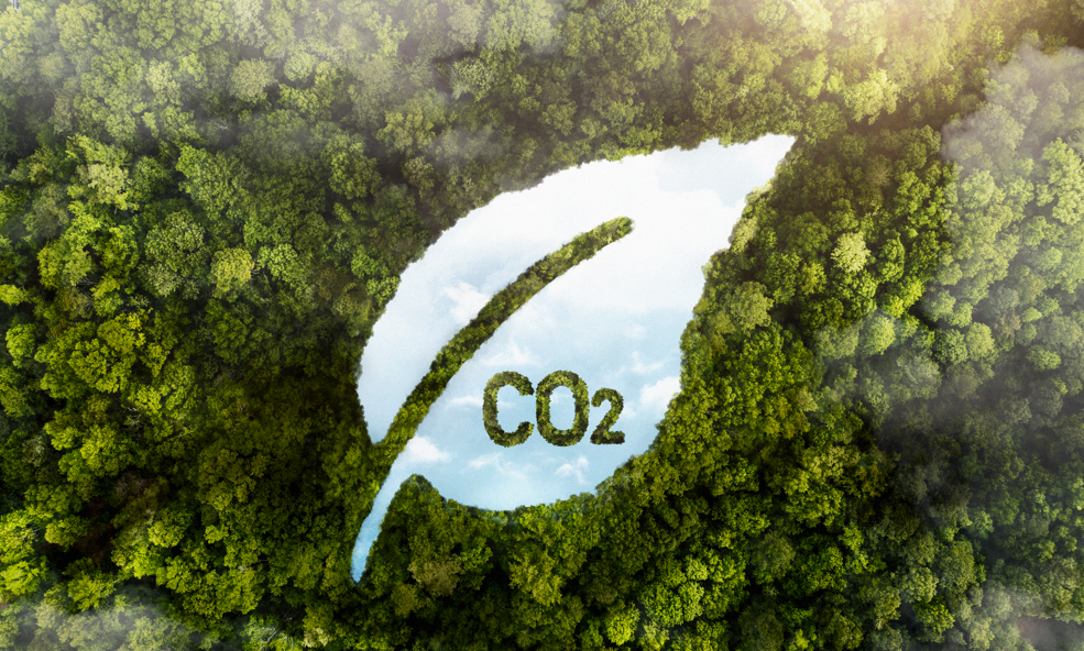 森林上方俯瞰圖以葉形開口呈現「CO₂」字樣,象徵碳排放減量與環境永續理念