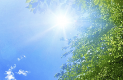 綠電憑證 減碳